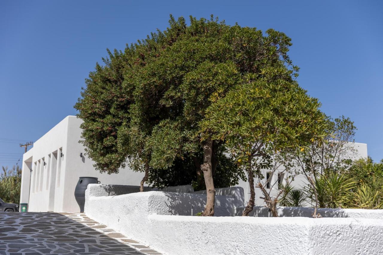 Naxos Green Village Hotel Naxos City Bagian luar foto